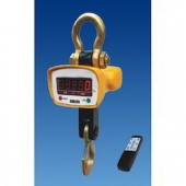 Crane Scale & Hanging Scale Manufacturers in Lucknow