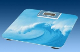 Digital Bathroom Scale Manufacturers in Lucknow