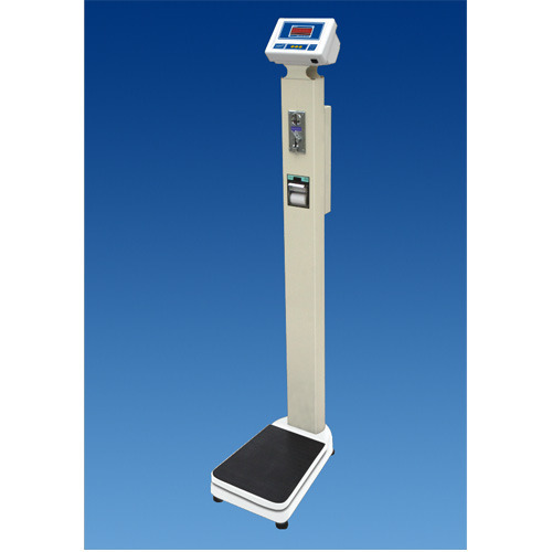 Platform Person Scales Suppliers in Delhi