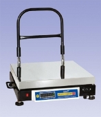 Bench Scales Manufacturers in Lucknow