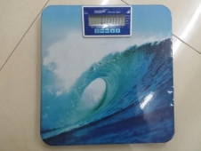 Personal BMI Scale Manufacturers in Maharashtra