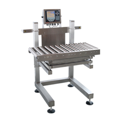 Conveyor Scales manufacturers in Delhi Conveyor Scales